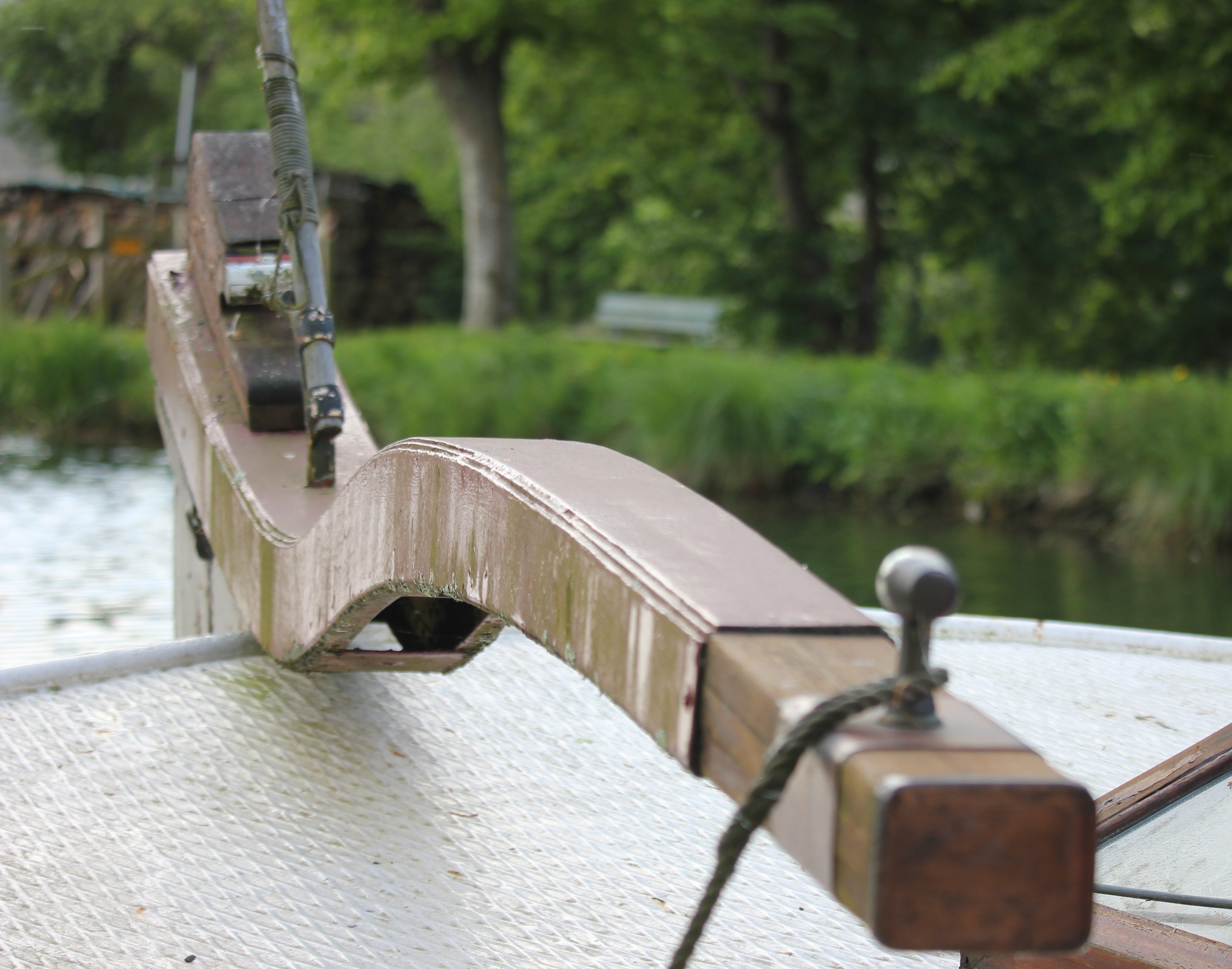 cropped-IMG_8021.jpg